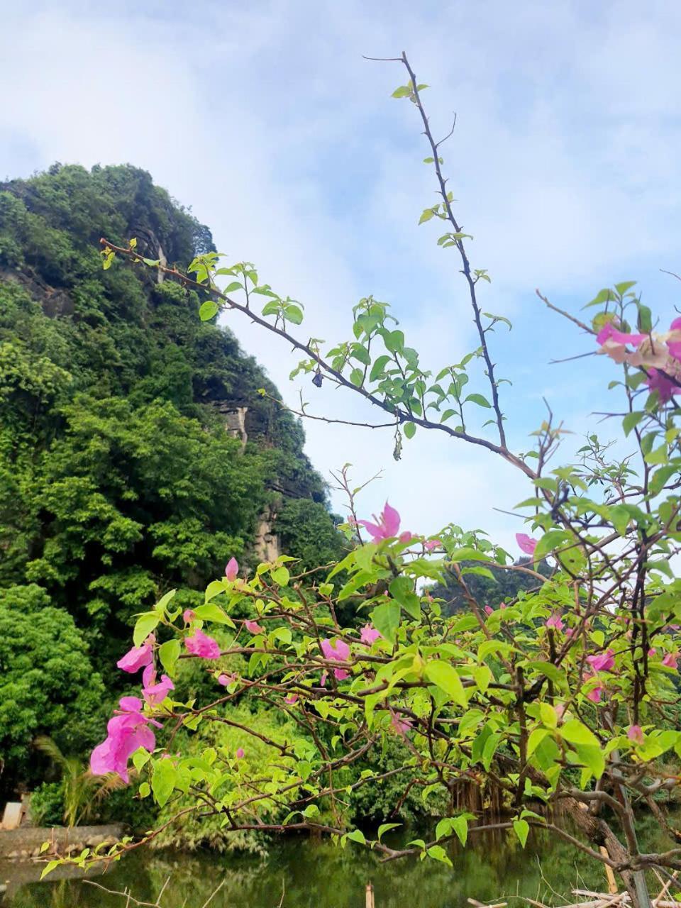 Trang An Hana Homestay Nguyen Ngoai Экстерьер фото