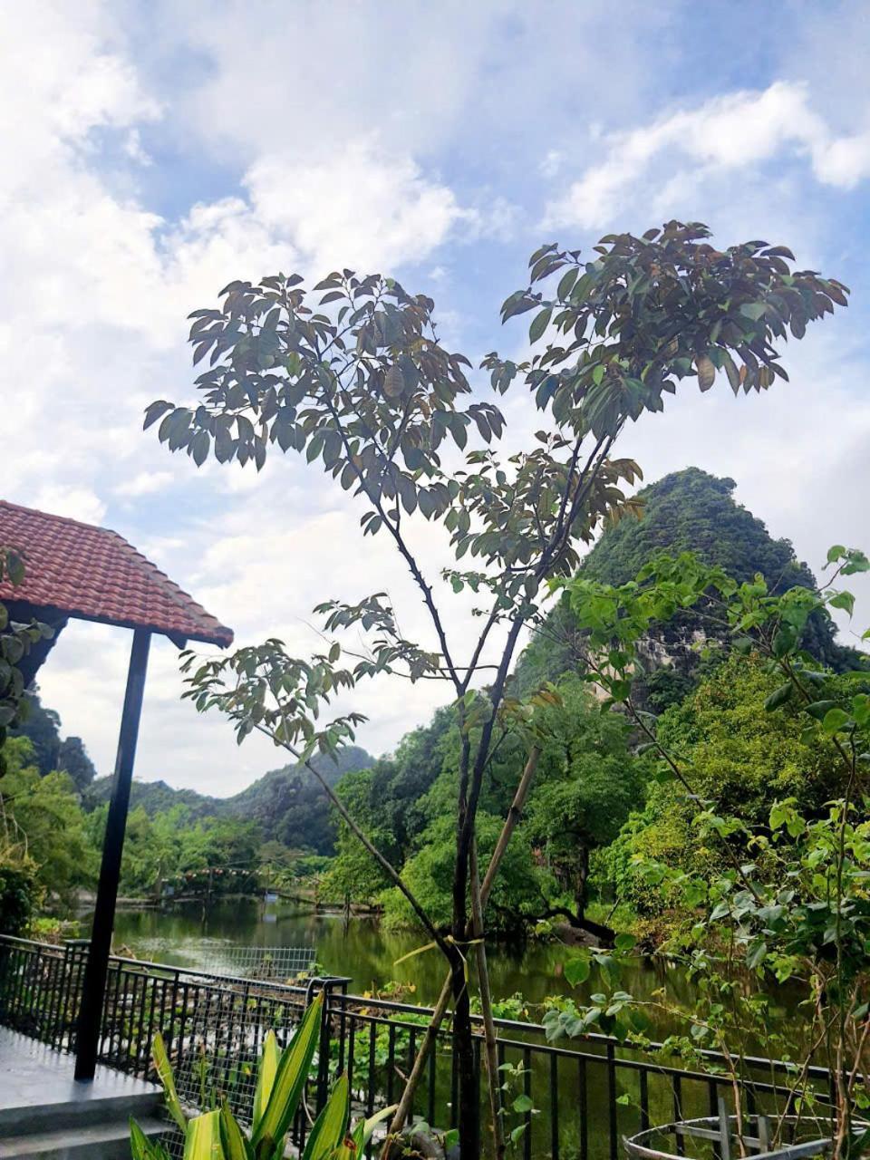 Trang An Hana Homestay Nguyen Ngoai Экстерьер фото