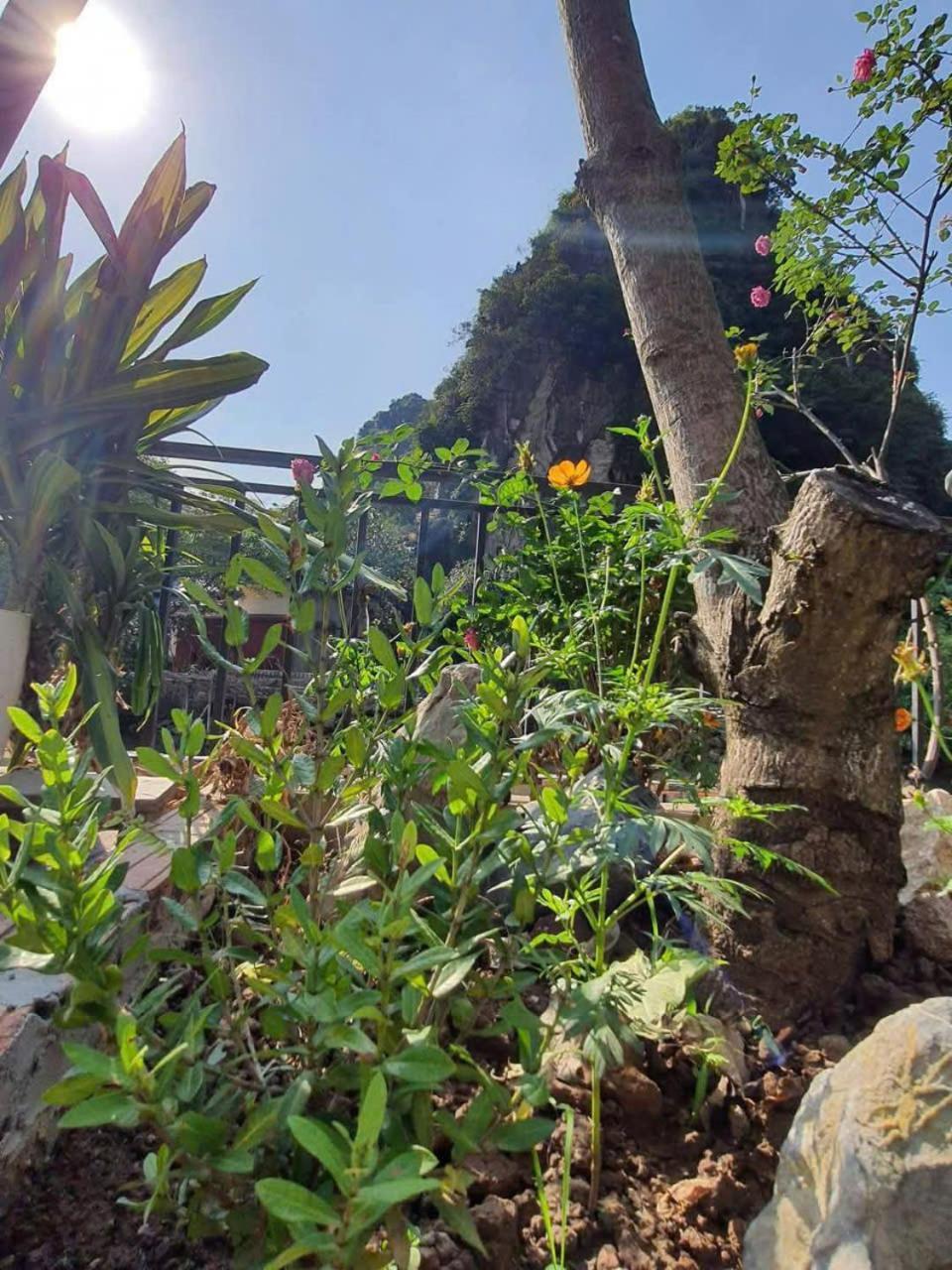 Trang An Hana Homestay Nguyen Ngoai Экстерьер фото