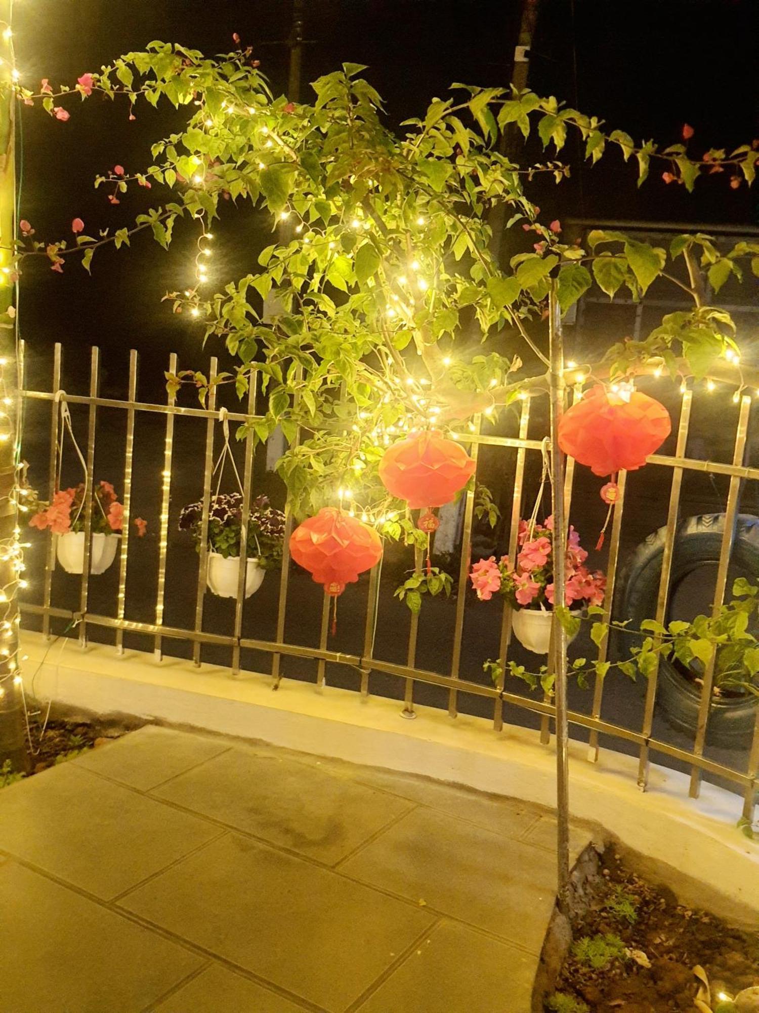 Trang An Hana Homestay Nguyen Ngoai Экстерьер фото