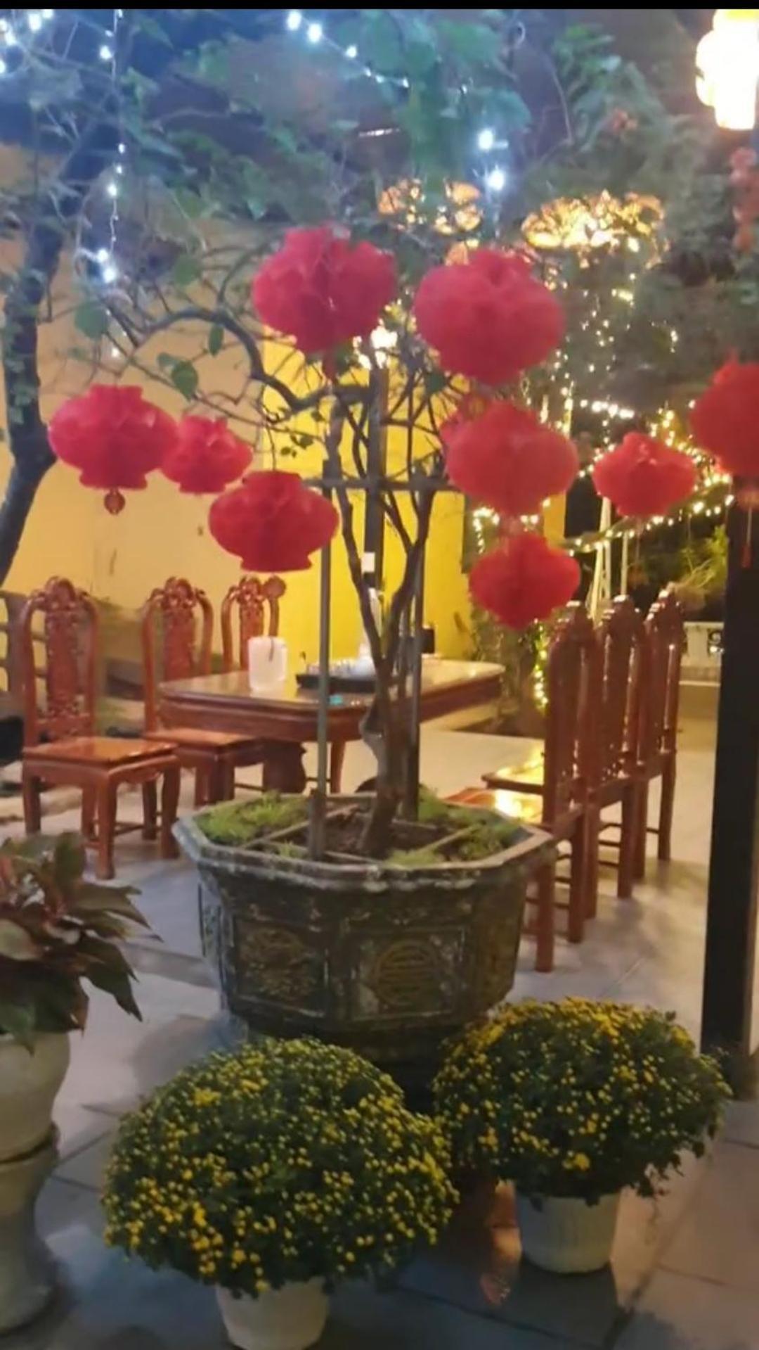 Trang An Hana Homestay Nguyen Ngoai Экстерьер фото